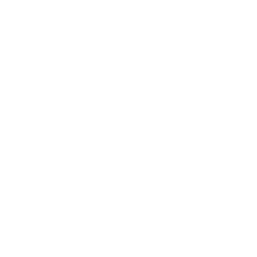 praefectus city sistema antiasalto