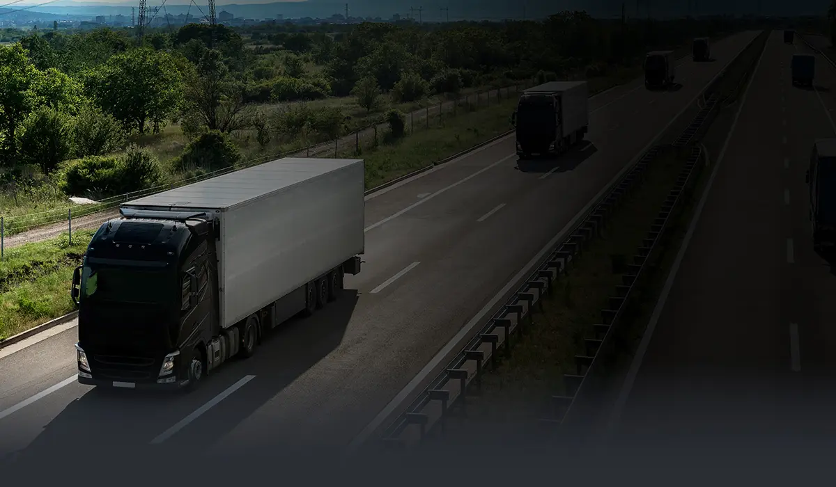 blindaje para carga praefectus cargo